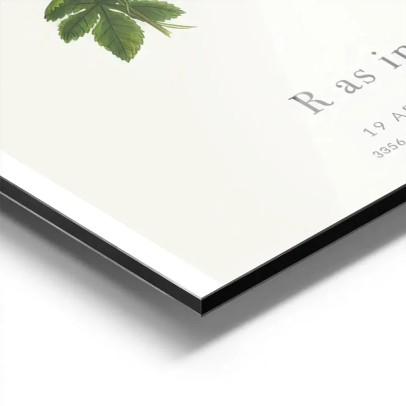 affiche botanique personnalisee avec la lettre r formee de feuilles vertes et de aluminium.webp