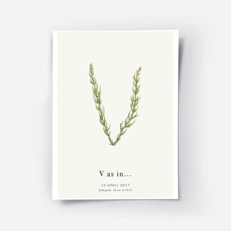 affiche botanique personnalisee avec la lettre v formee de feuilles vertes et du.webp