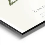 affiche botanique personnalisee avec la lettre z formee par une plante et du tex aluminium.webp