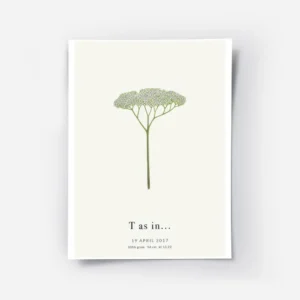 affiche botanique personnalisee avec une fleur blanche ressemblant a la lettre t.webp