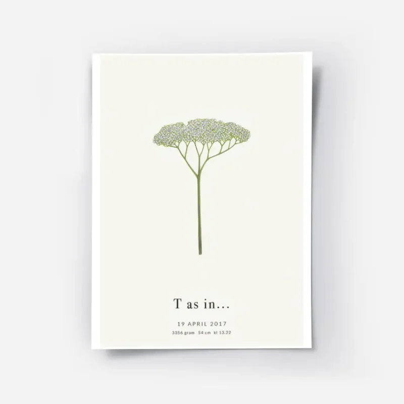 affiche botanique personnalisee avec une fleur blanche ressemblant a la lettre t.webp