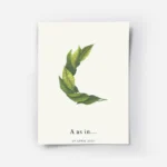 affiche botanique personnalisee avec une lettre c formee de feuilles vertes et d.webp