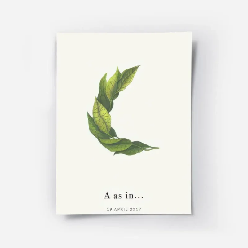 affiche botanique personnalisee avec une lettre c formee de feuilles vertes et d.webp