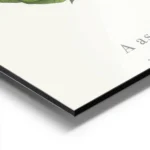 affiche botanique personnalisee avec une lettre c formee de feuilles vertes et d aluminium.webp