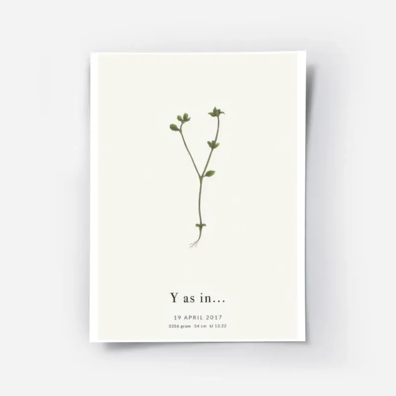 affiche botanique personnalisee avec une plante verte en forme de lettre y sur f.webp