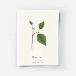 affiche botanique personnalisee avec une typographie k formee par des feuilles v.webp