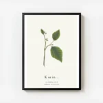 affiche botanique personnalisee avec une typographie k formee par des feuilles v avec cadre.webp