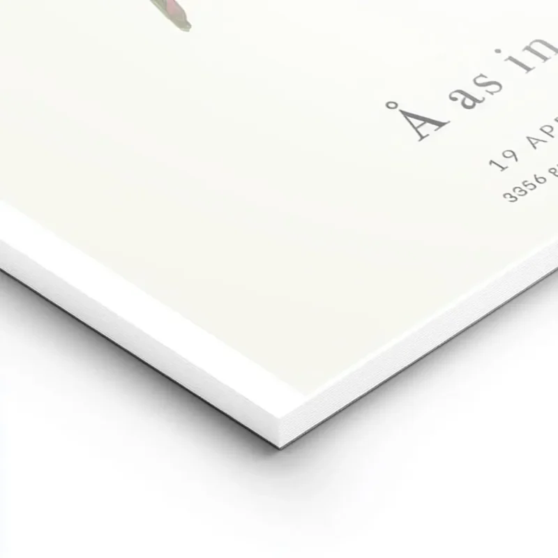 affiche botanique personnalisee lettre a formee par des feuilles et une baie sur lightpanel.webp