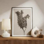 affiche botanique vintage en monochrome beige presentant une plante sechee textu meuble.webp