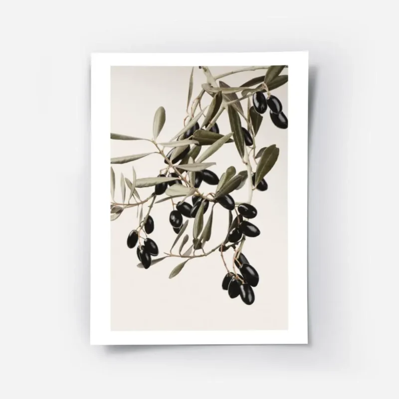 affiche branche dolivier naturelle avec feuilles vertes et olives noires sur fon.webp