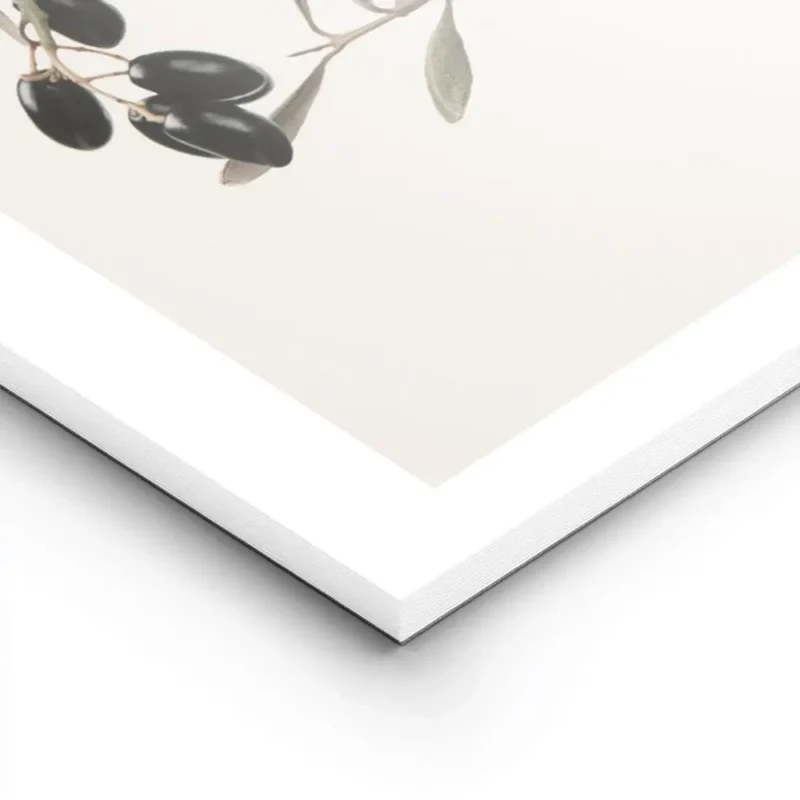 affiche branche dolivier naturelle avec feuilles vertes et olives noires sur fon lightpanel.webp