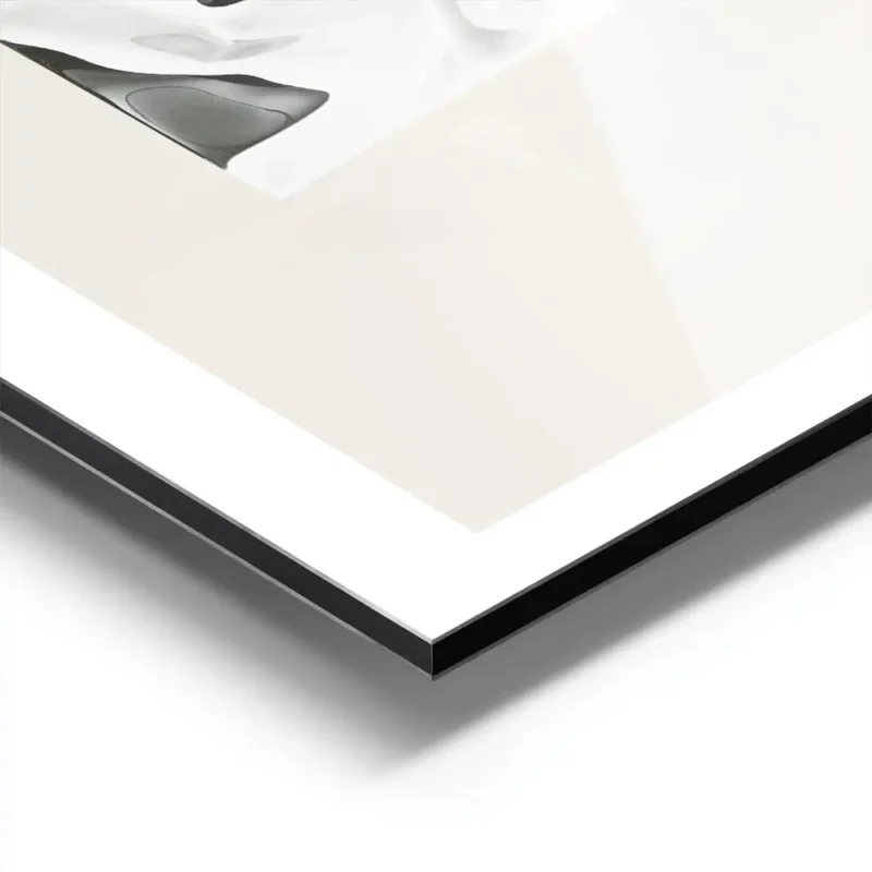 affiche carree metallique en tons de gris et blanc aux formes fluides et brillan aluminium.webp