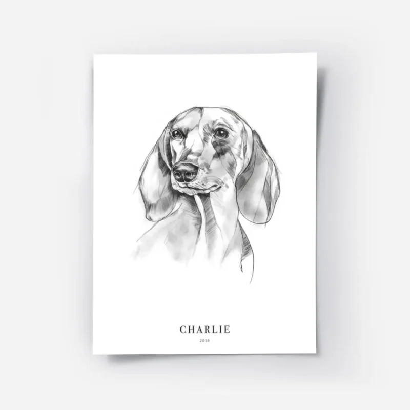 affiche chien teckel.webp