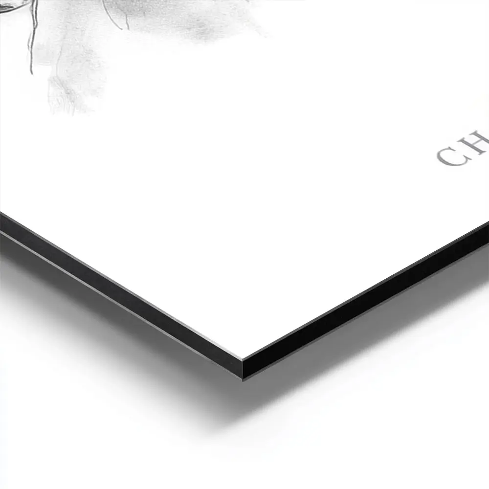 Image galerie 9