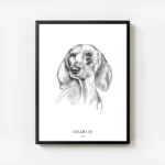 affiche chien teckel avec cadre.webp