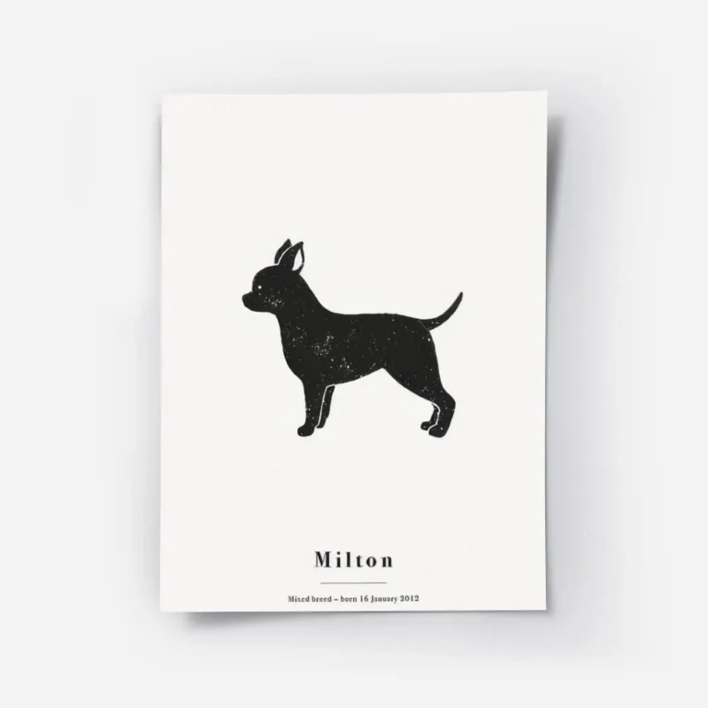 affiche chihuahua noir sur fond gris typographie milton.webp