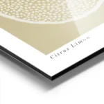 affiche citron decoratif illustration de citron avec des lignes blanches sur fon aluminium.webp