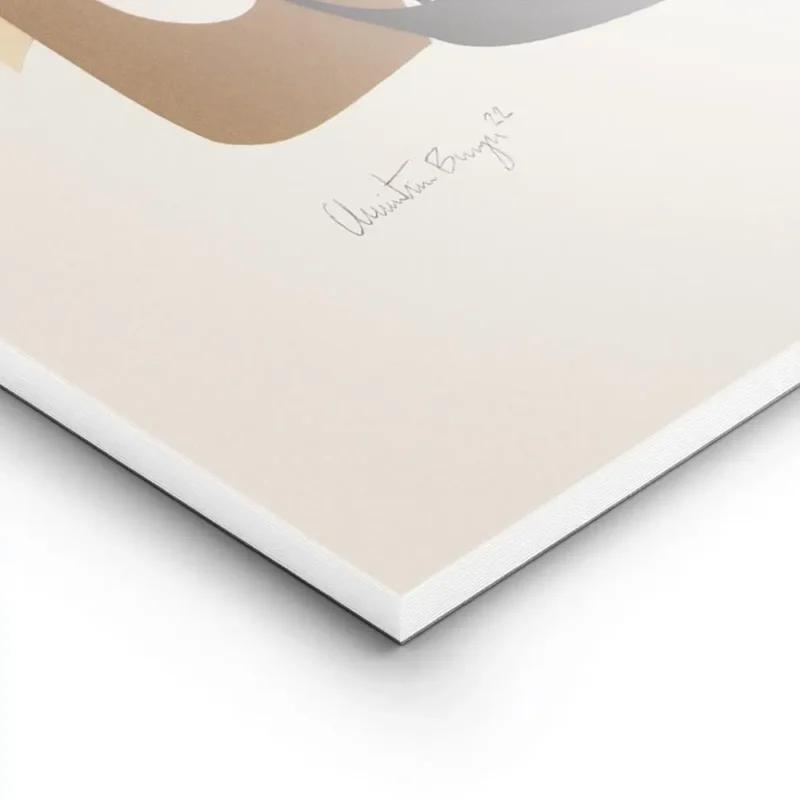 affiche collage de formes geometriques courbes aux couleurs terreuses et bleues lightpanel.webp
