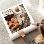 affiche dabricots frais dans une assiette sur une table avec des ombres de feuil au sol.webp