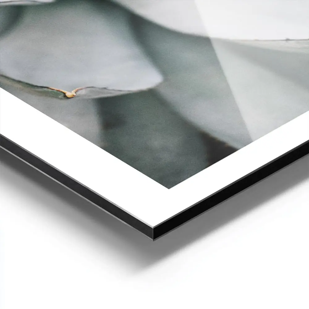 Image galerie 9