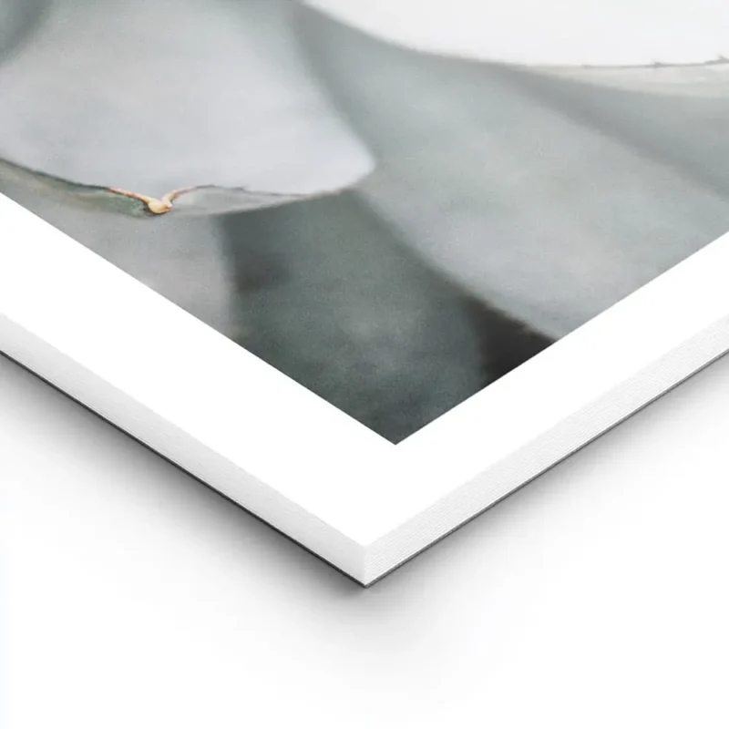 affiche daloe vera en gros plan aux tons gris argent avec des pointes marron ide lightpanel.webp