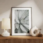affiche daloe vera en gros plan aux tons gris argent avec des pointes marron ide meuble.webp