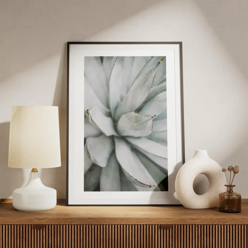 affiche daloe vera en gros plan aux tons gris argent avec des pointes marron ide meuble.webp