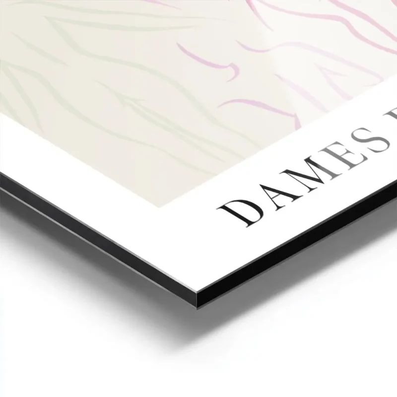 affiche dames de beaute illustration de corps feminins aux lignes epurees en cou aluminium.webp