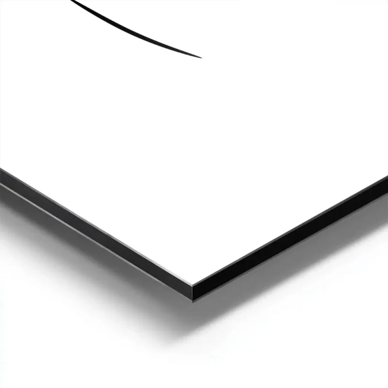 affiche dart lineaire montrant un couple sembrassant sur un fond blanc typograph aluminium.webp