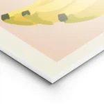 affiche de bananes jaunes sur carre rose et typographie noire oui sur fond beige lightpanel.webp