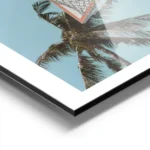 affiche de basket ball avec des palmiers sur un ciel bleu clair un style ludique aluminium.webp