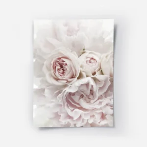 affiche de bouquet de pivoines et roses pales sur fond blanc mettant en valeur d.webp