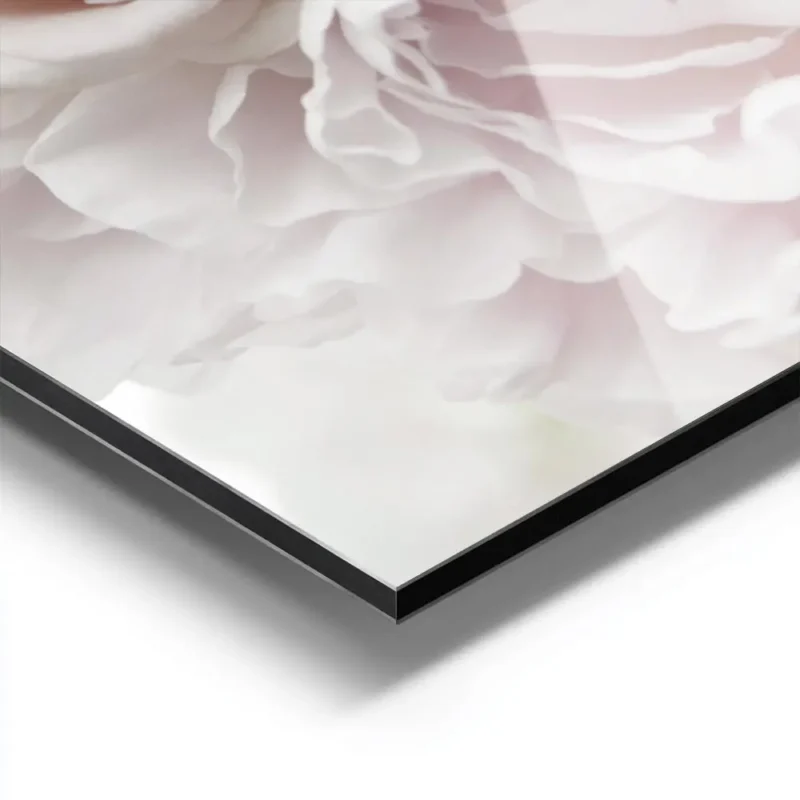 affiche de bouquet de pivoines et roses pales sur fond blanc mettant en valeur d aluminium.webp