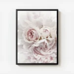 affiche de bouquet de pivoines et roses pales sur fond blanc mettant en valeur d avec cadre.webp