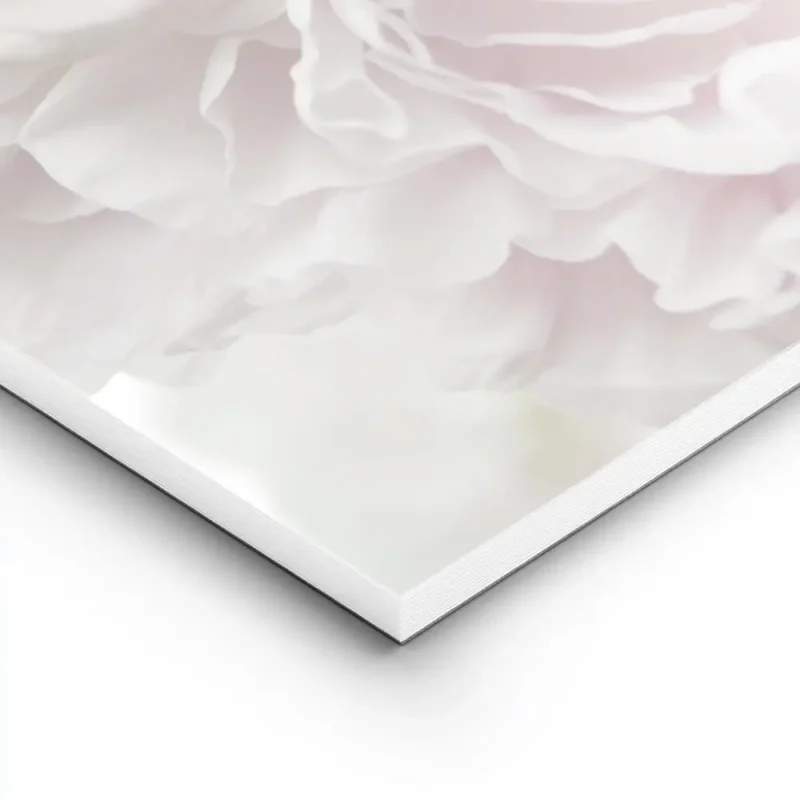 affiche de bouquet de pivoines et roses pales sur fond blanc mettant en valeur d lightpanel.webp
