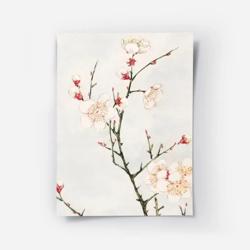 affiche de branches de prunier avec des fleurs blanches et rouges sur fond bleu .webp