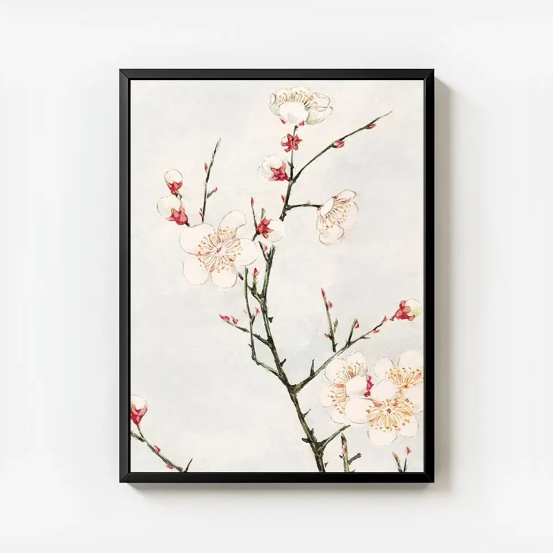 affiche de branches de prunier avec des fleurs blanches et rouges sur fond bleu avec cadre.webp
