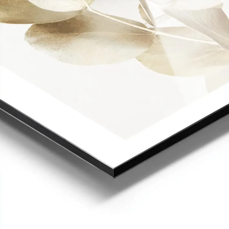 affiche de branches deucalyptus dorees et blanches sur un fond beige clair avec aluminium.webp