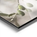affiche de branches dolivier vert olive avec fruits un gros plan realiste de la aluminium.webp