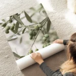 affiche de branches dolivier vert olive avec fruits un gros plan realiste de la au sol.webp