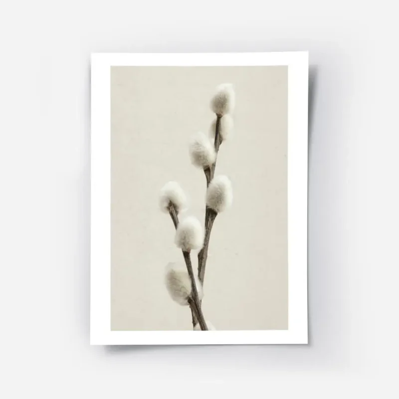 affiche de brindille de saule sur fond beige photographie minimaliste de branche.webp