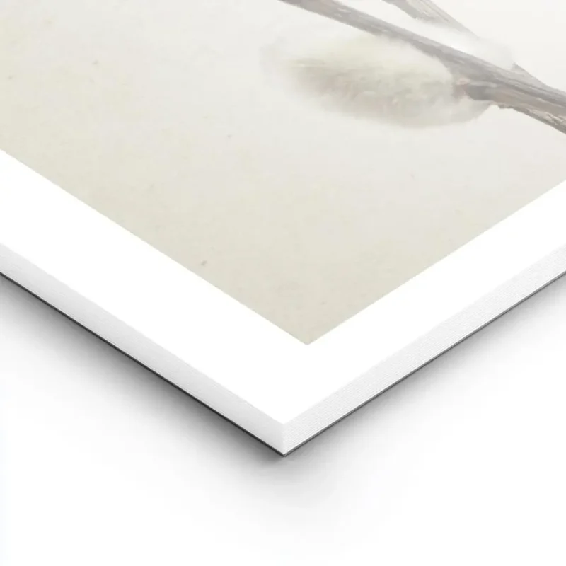 affiche de brindille de saule sur fond beige photographie minimaliste de branche lightpanel.webp