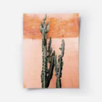 affiche de cactus vert fonce devant un mur couleur terre cuite rosee.webp