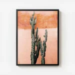 affiche de cactus vert fonce devant un mur couleur terre cuite rosee avec cadre.webp