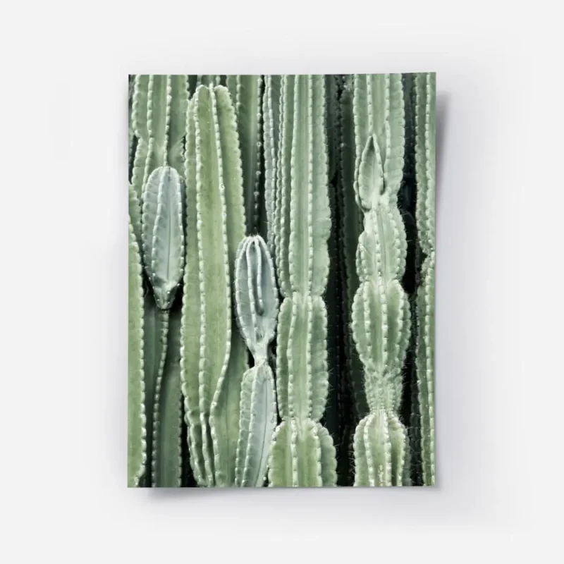 affiche de cactus verts aux formes variees mettant en valeur la texture des plan.webp