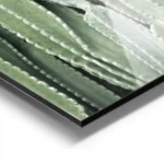 affiche de cactus verts aux formes variees mettant en valeur la texture des plan aluminium.webp