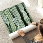 affiche de cactus verts aux formes variees mettant en valeur la texture des plan au sol.webp