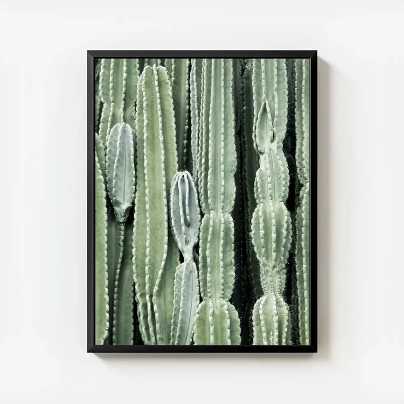 affiche de cactus verts aux formes variees mettant en valeur la texture des plan avec cadre.webp