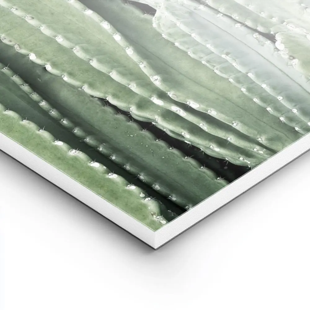 Image galerie 8