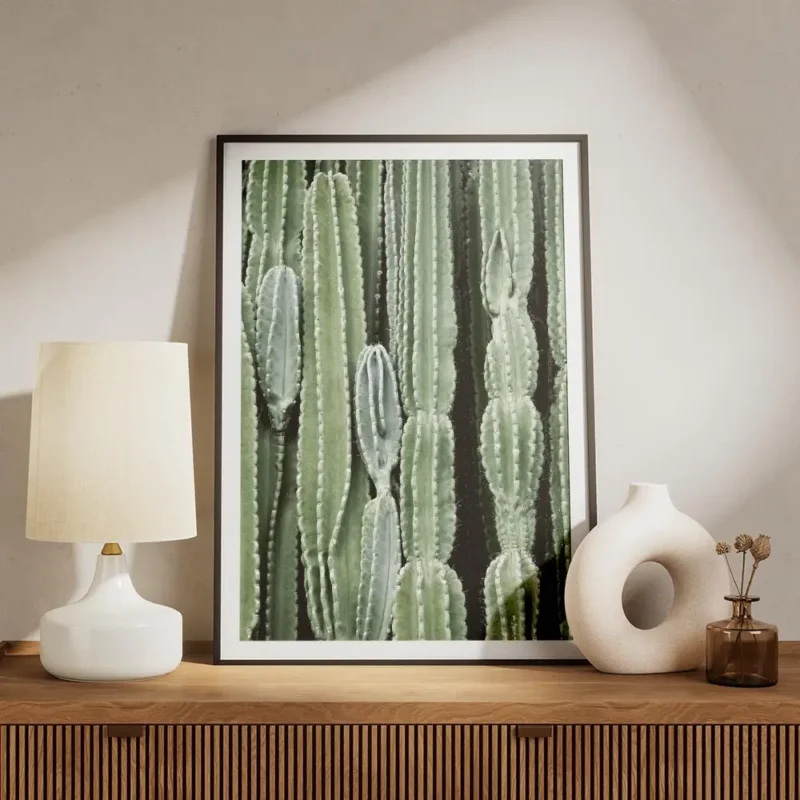 affiche de cactus verts aux formes variees mettant en valeur la texture des plan meuble.webp
